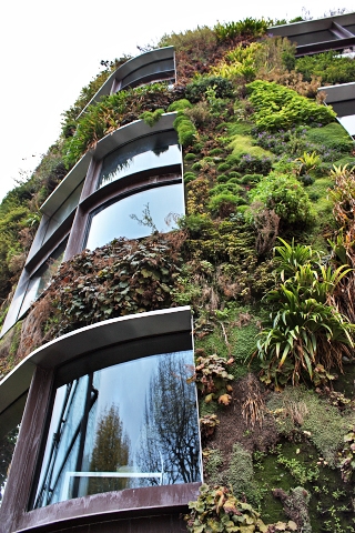 Living Wall