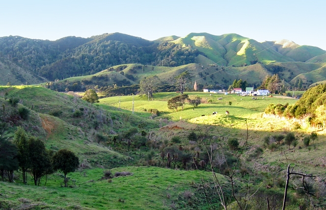 Countryside close to Raglan