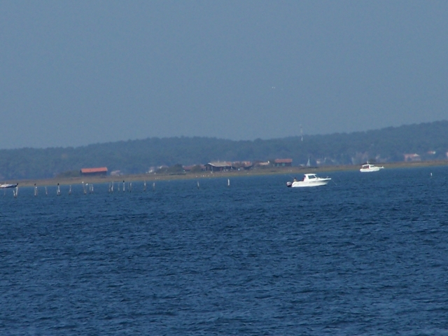 L'ile aux oiseaux depuis Arcachon
