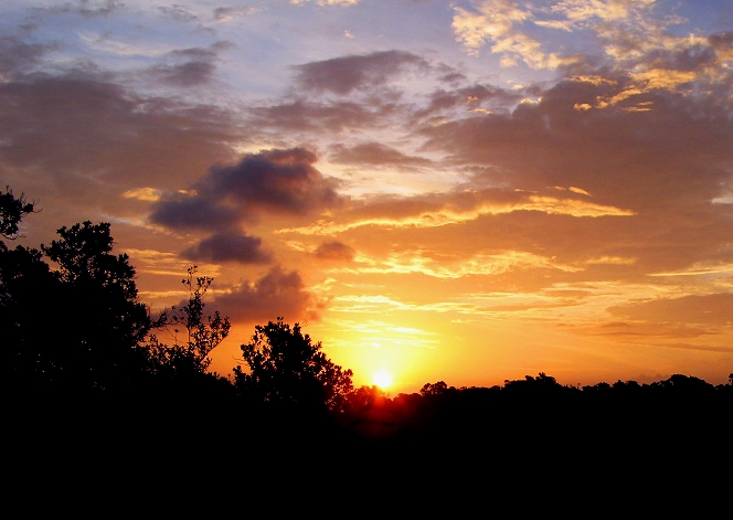 Fire in the sky