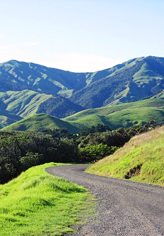 On the way back from Port Jackson