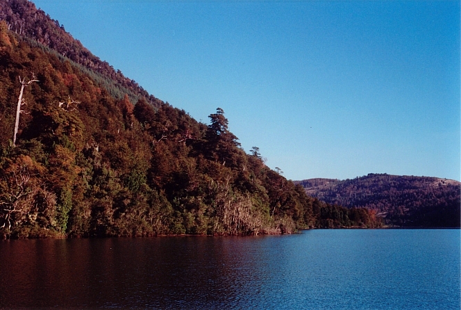 Pucon