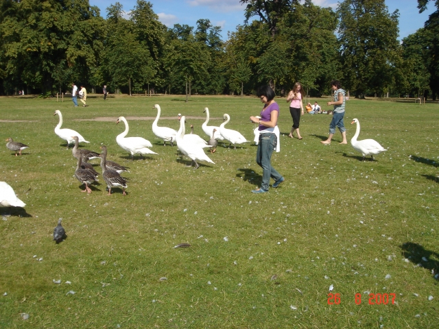 Kensington Garden