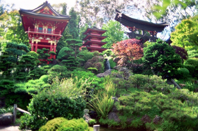 San Francisco - Jardin japonais