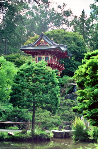 San Francisco - Jardin japonais