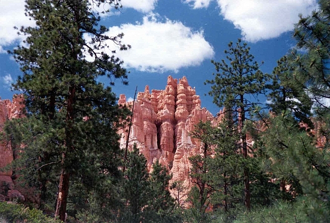 USA, Brice canyon NP 04