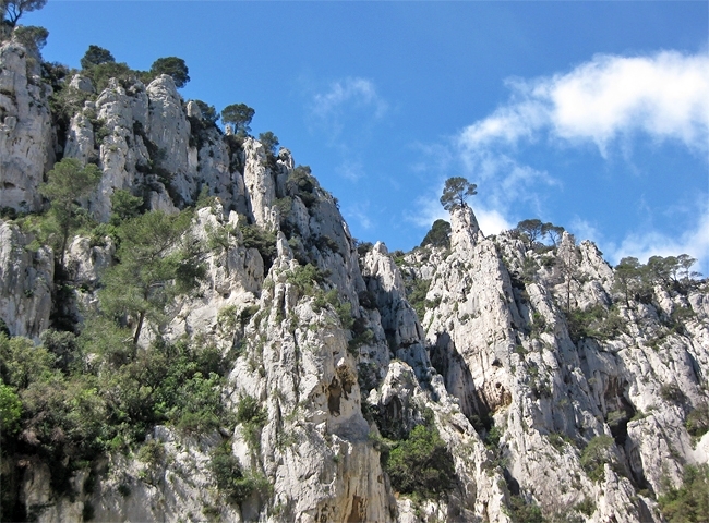 Dentelles - Calanques de Cassis