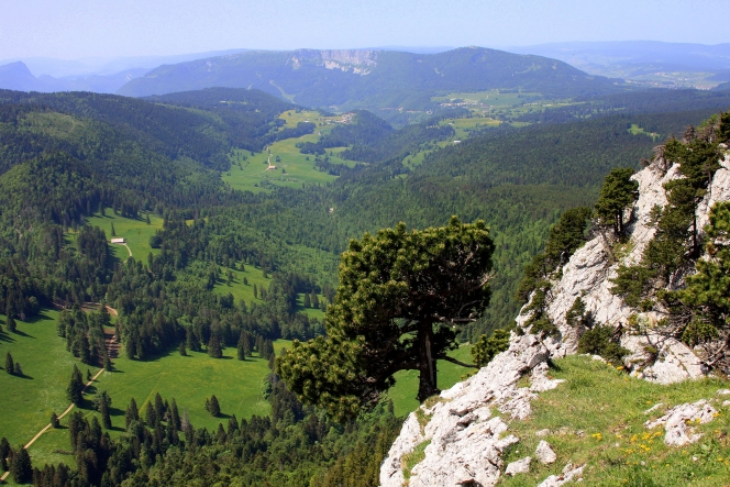 Aiguilles de Baulmes