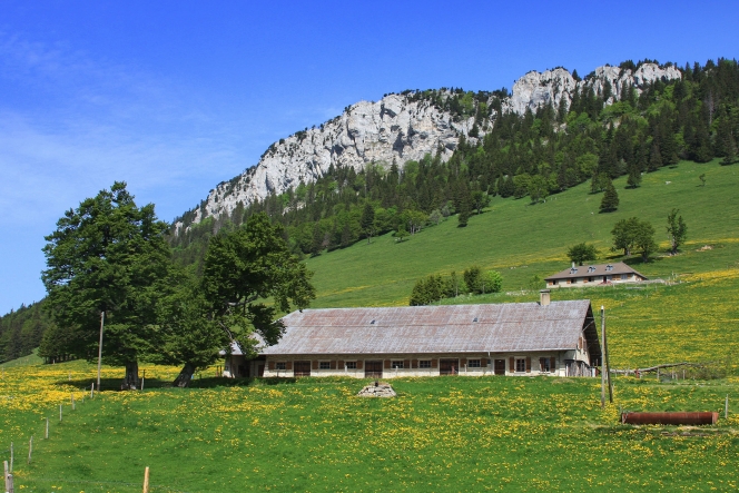 Col de l'Aiguillon