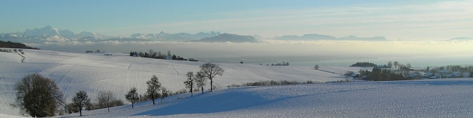 snow