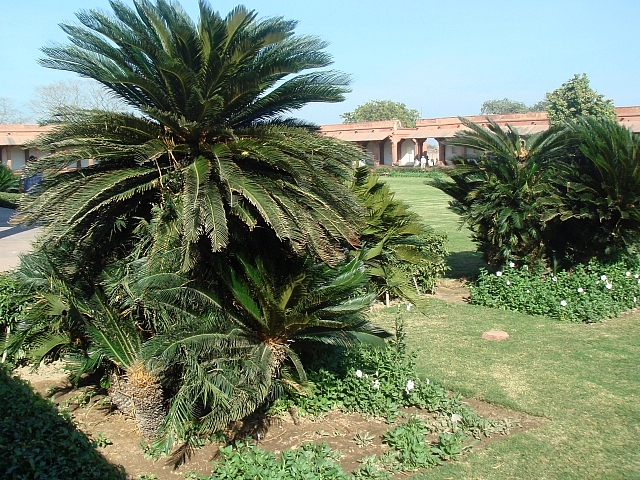 Jardin du Diwan-i-am