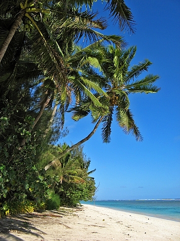 Paradise