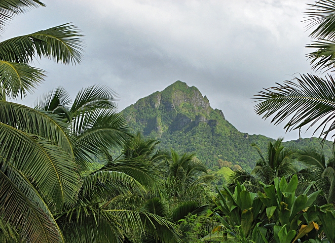 Rarotonga - Middle Island