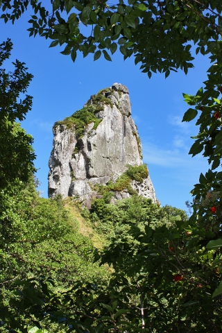 The Needle