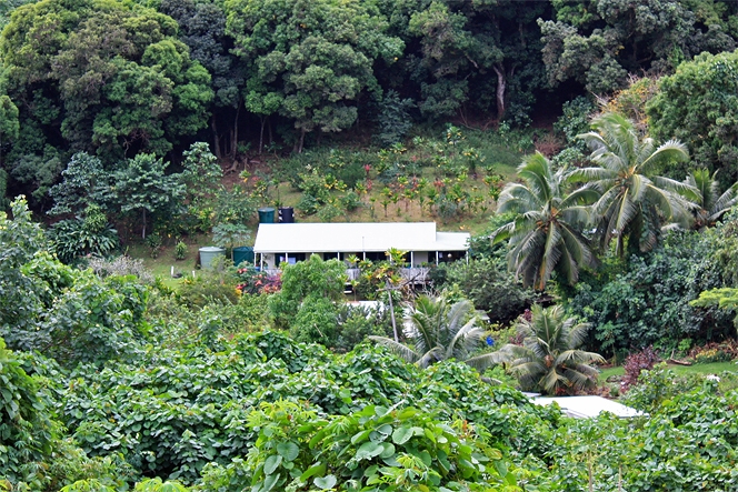 House lost in the nature