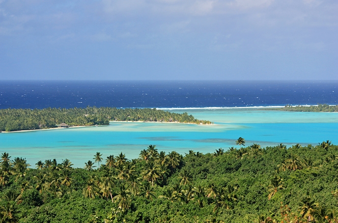 Pacific Colours