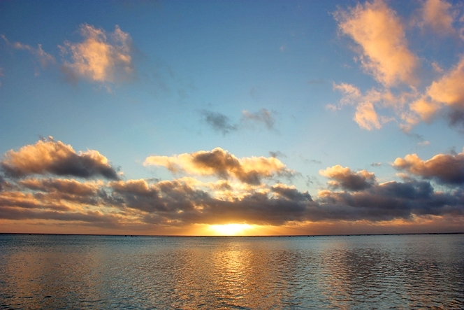 The Pacific Sky