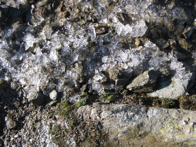 Glace