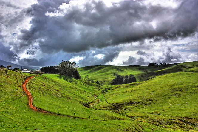 Te Mata