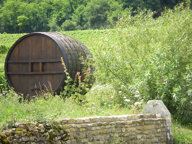 Vignoble de Bourgogne