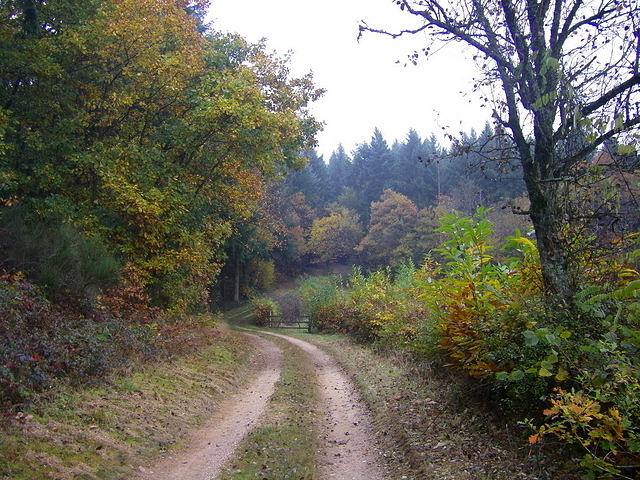 Couleurs d'Automne