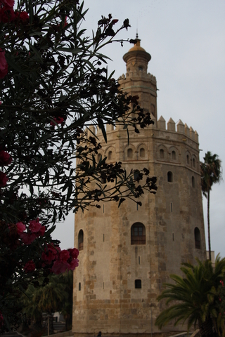 torre del oro.sevilla