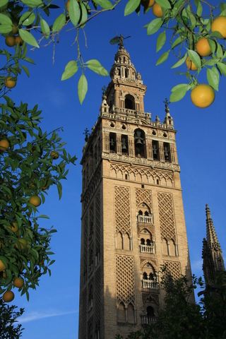 torre de la giralda.sevilla