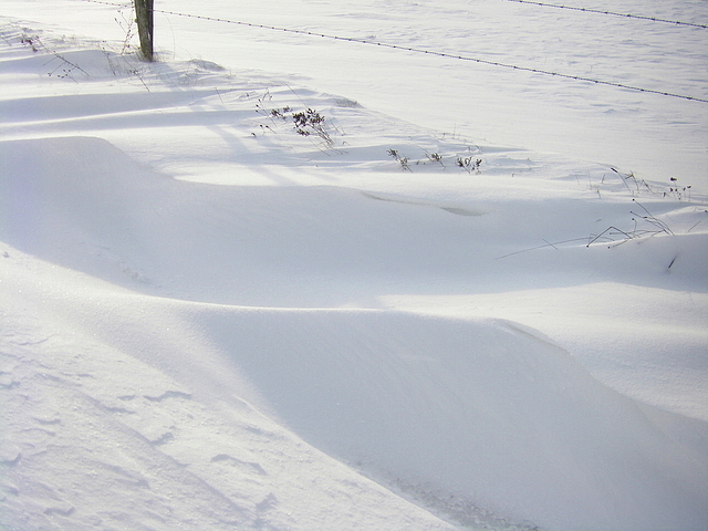 Dunes de neige