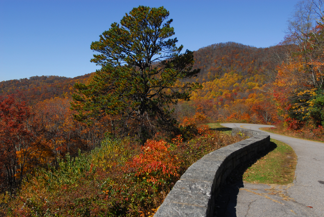 autumn on the blue ridge parkway