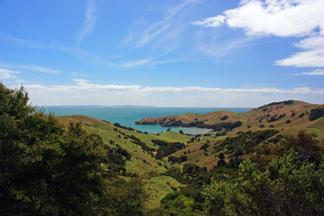 Coromandel Coastline