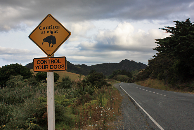 Kiwi Road Sign