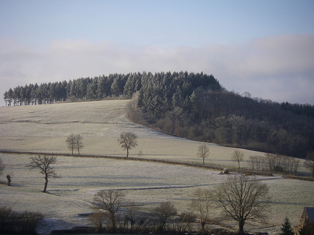 Paysage de janvier - Montmort