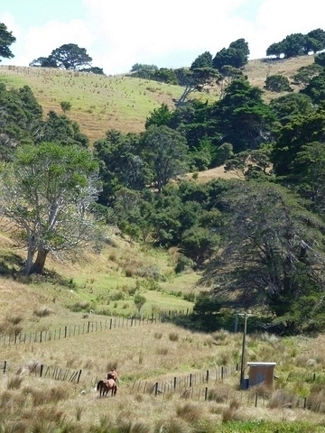 Campagne du Northland