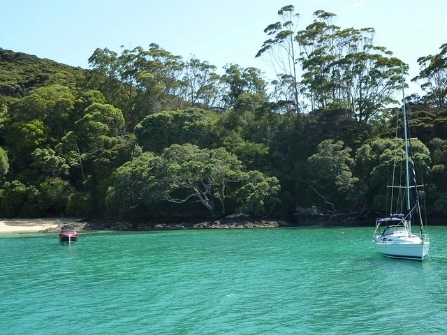 Ile de la Bay of Islands