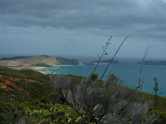 Vue du Cap Reinga
