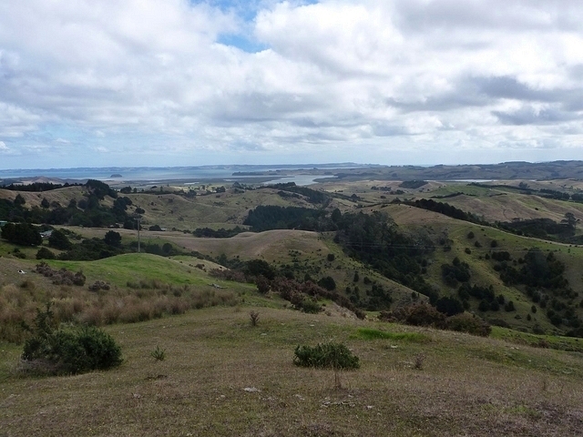 Paysage du Northland