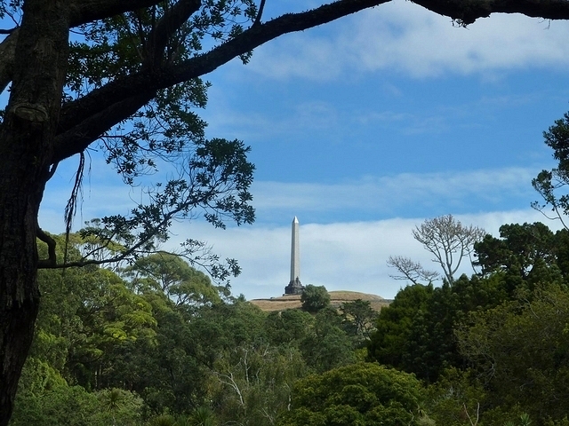 One Tree Hill