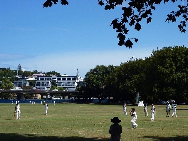 Cricket à Auckland