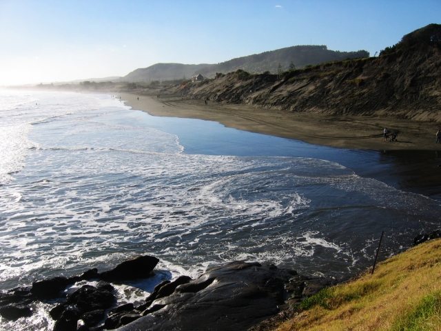 Muriwai beach