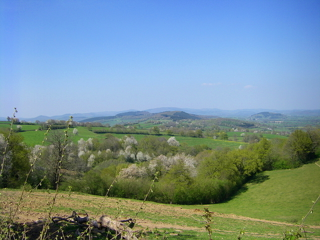 paysage