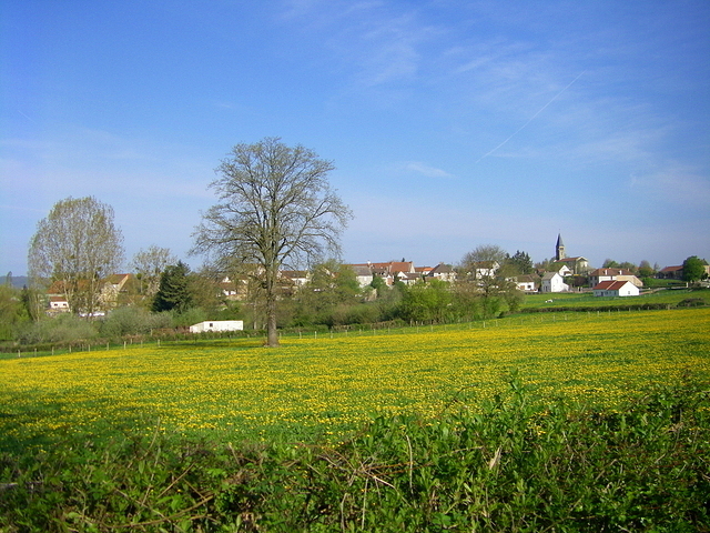 Perreuil