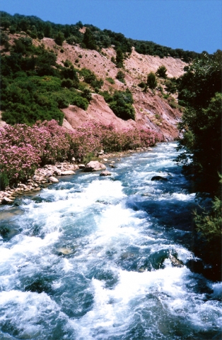 Source de l'Oum Errabiaa
