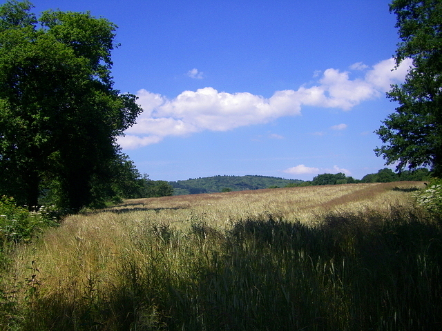 Jeu d'ombres, nuages...