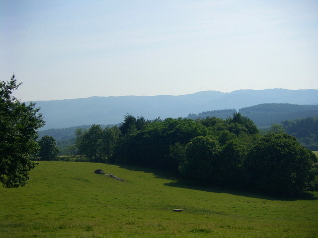 Champ de verdure vallonné