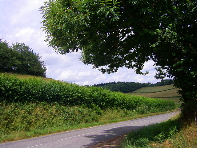 Petite route