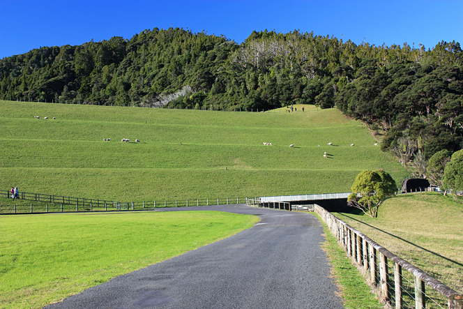 Lower Huia Reservoir