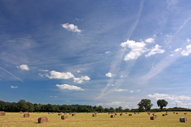 Burgundian Country