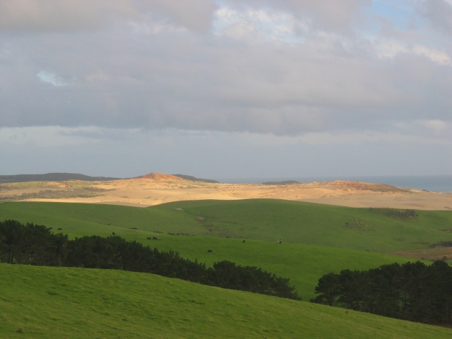 Les dunes du nord de la Nouvelle-zélande