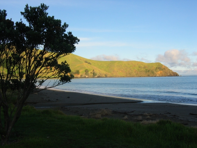 Petit matin à Port Jackson