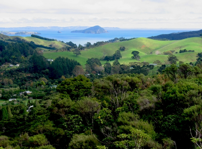 View from the driving creek railway tower